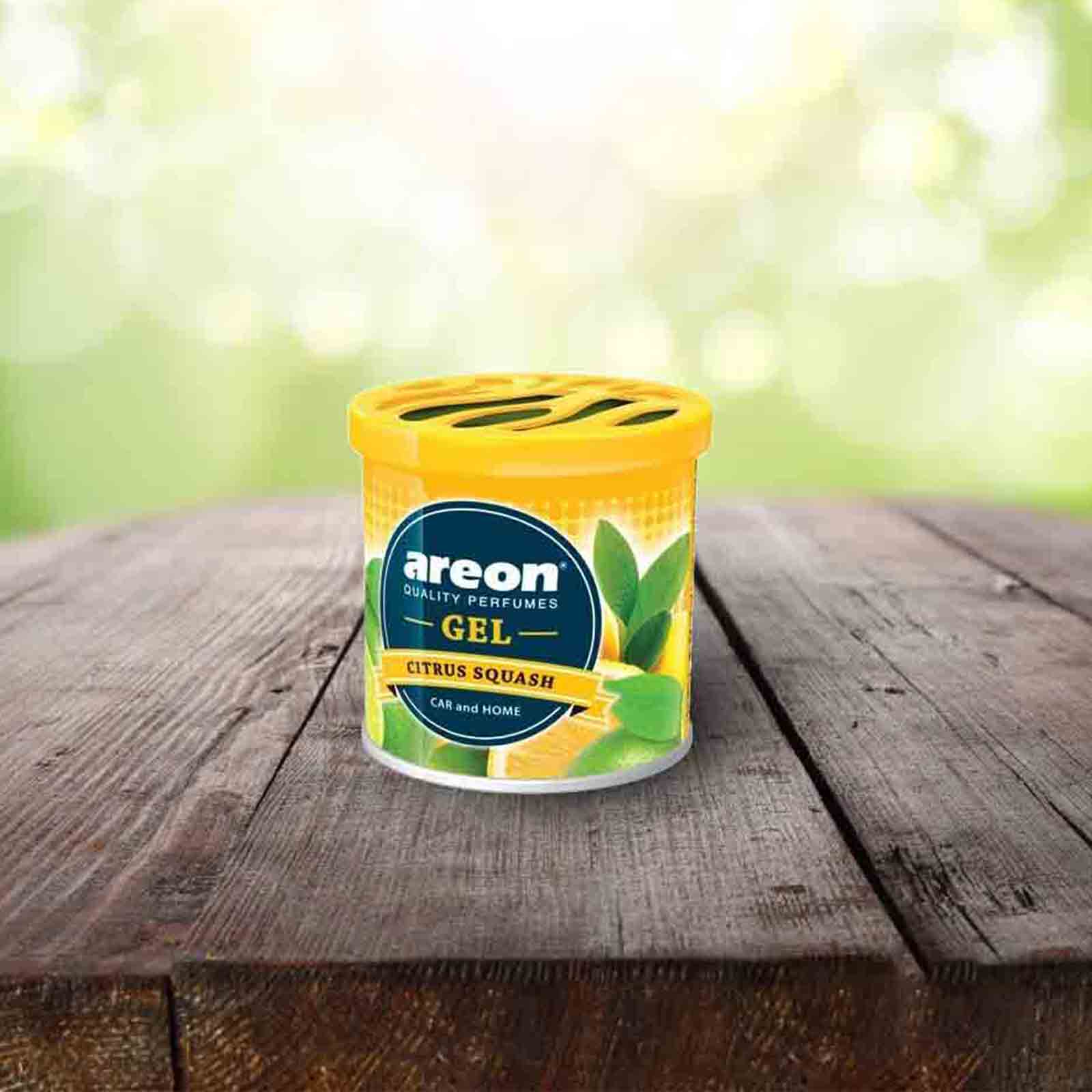 Areon Perfume Gel Vanilla Flavour Long Lasting Air Freshener For Car Home